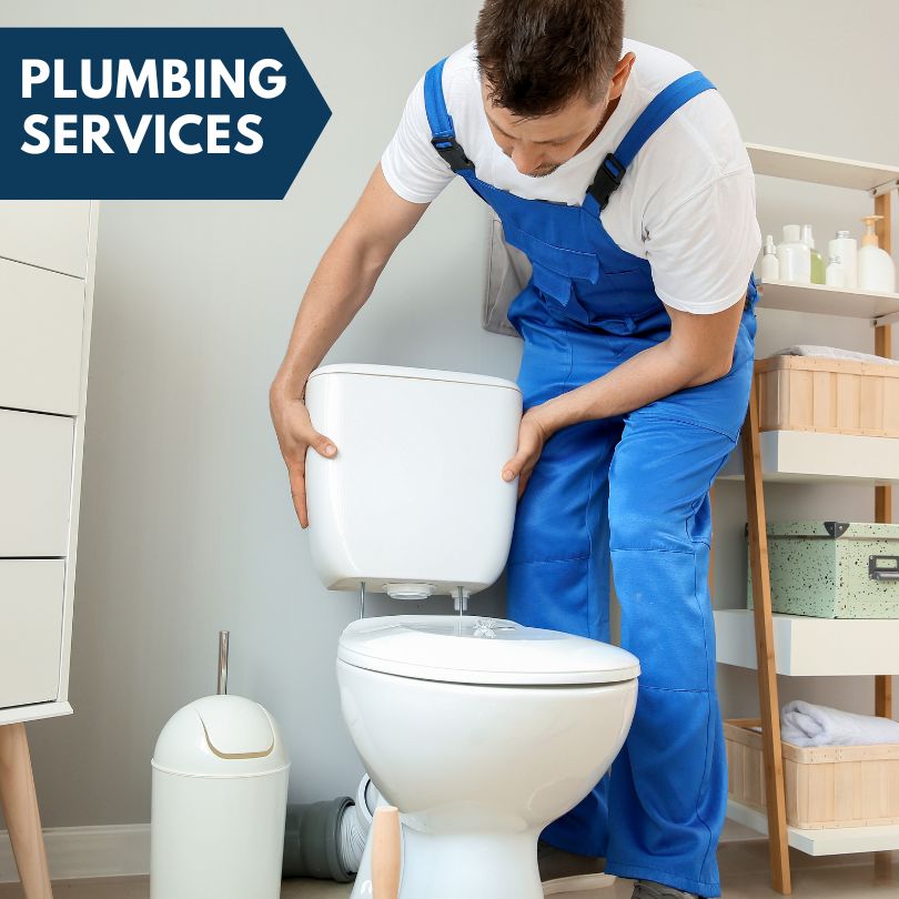 Plumbing Company in Pinedale, AZ